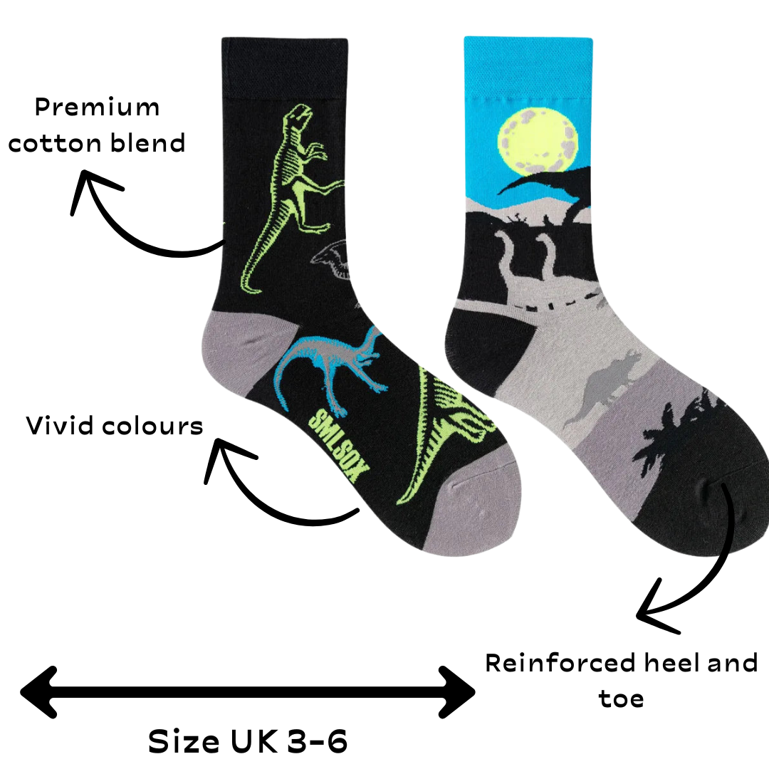 Dinosaur ODD Socks - UK size 3-6