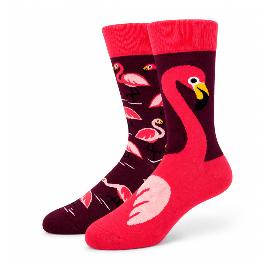 Animal Bundle (5 pairs)