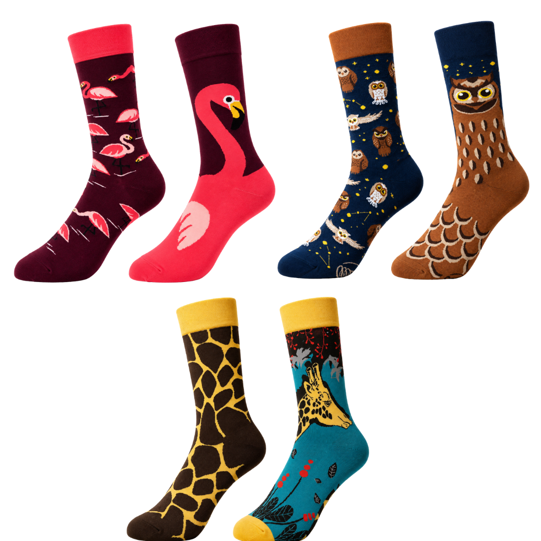 Animal Bundle (3 pairs)