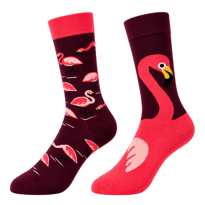 Animal Bundle (3 pairs)