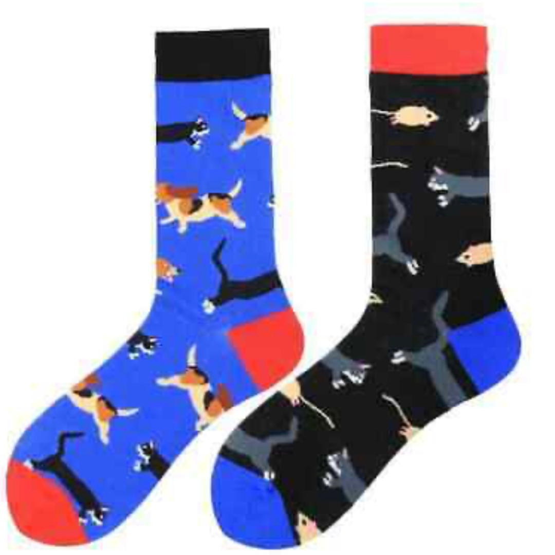 It's Raining Cats & Dogs - ODD Socks